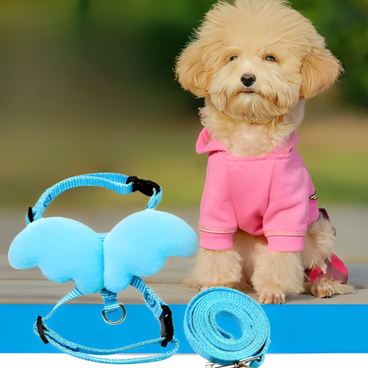 Cute Angel Pet Dog Leashes