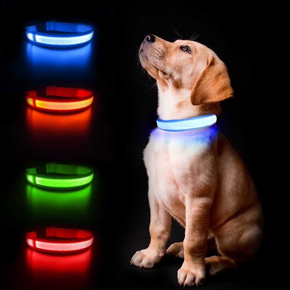 Luminous LED Light Dog Collar