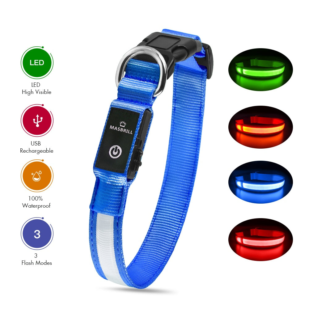 Luminous LED Light Dog Collar