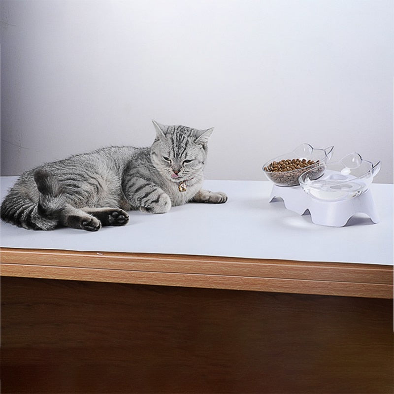 CaTime-Anti-Vomiting Orthopedic Pet Bowl