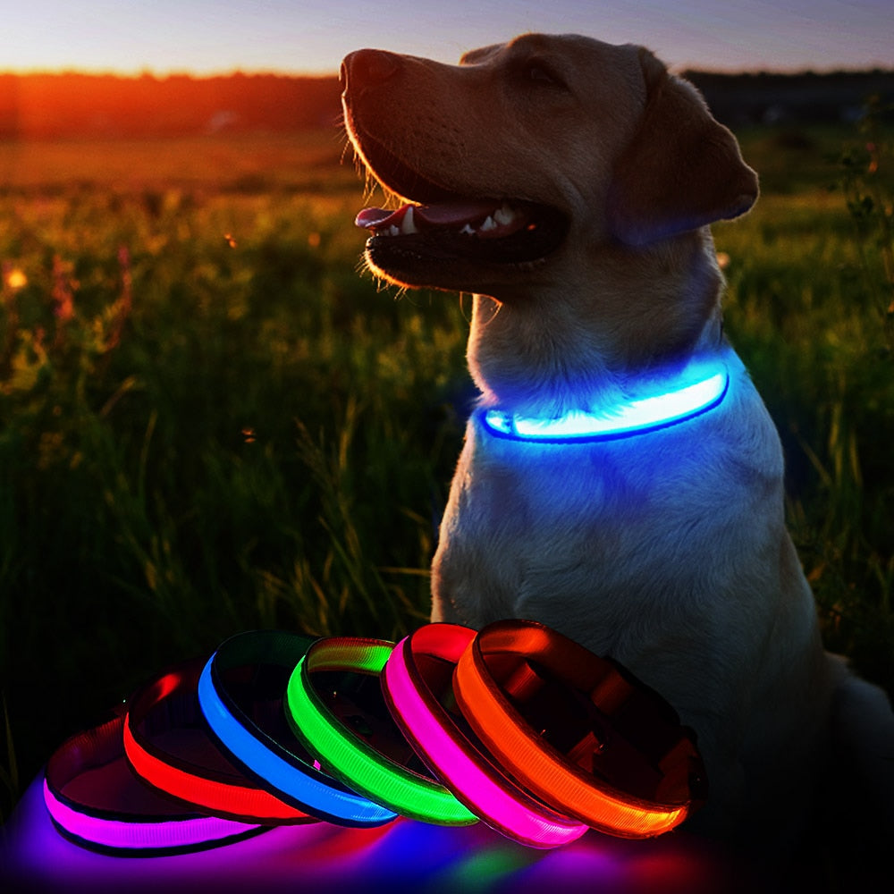 Luminous LED Light Dog Collar